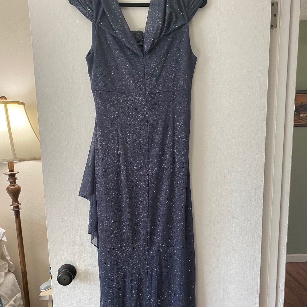 Beautiful Long Formal Gown by Alex Evenings